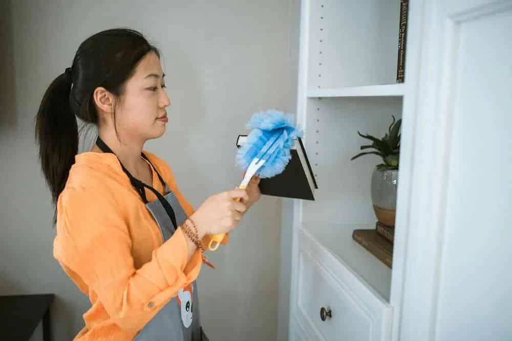 Basic House Cleaning image